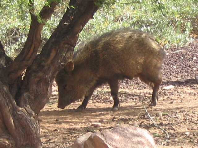 618x457 pixels (220K)